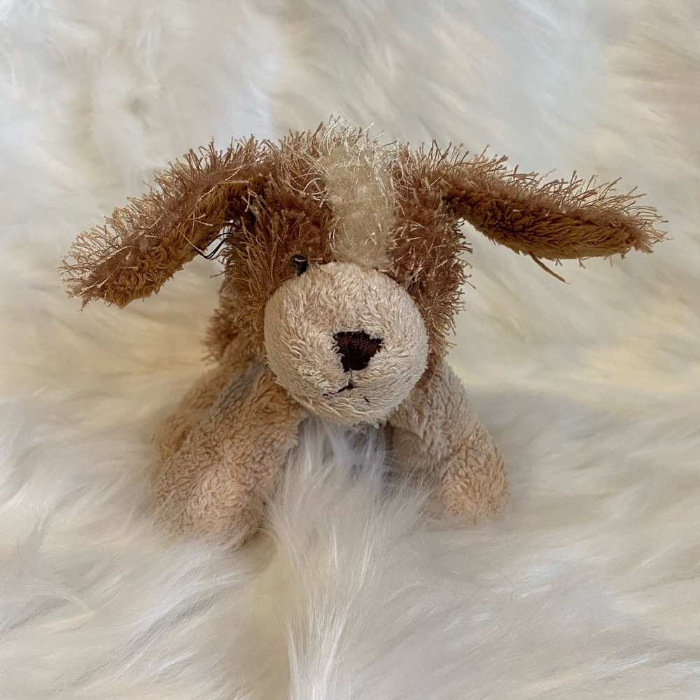 Ganz Webkinz Lil Kinz Cocker spaniel Dog